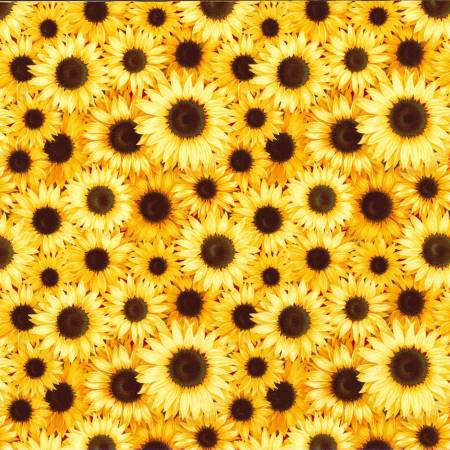 Modern Farmhouse Sm. Sunflowers- Studio Cottons by Fabric Traditions- Fabric Off the Bolt