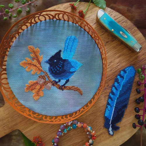 Steller's Jay by BAD Stitch