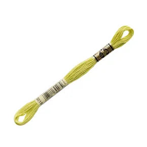 DMC 3819- 6 Strand Embroidery Floss