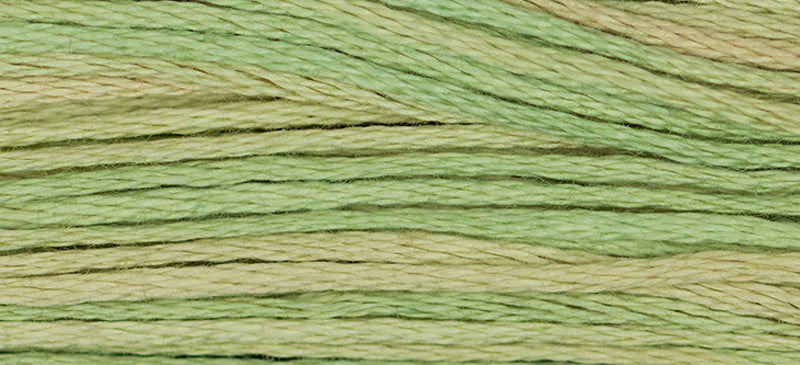 Butter Bean #1189 by Weeks Dye Works- 5 yds Hand-Dyed, 6 Strand 100% Cotton Cross Stitch Embroidery Floss