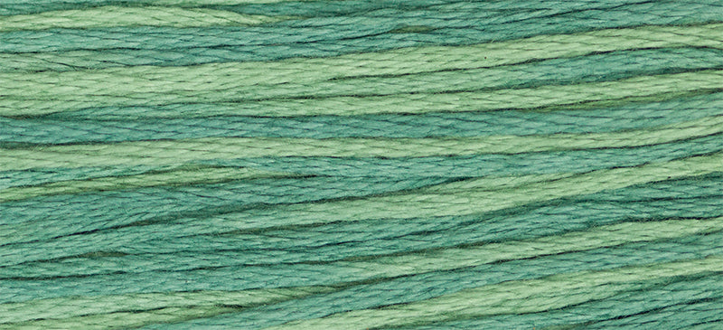 Bayberry #2166 by Weeks Dye Works- 5 yds Hand-Dyed, 6 Strand 100% Cotton Cross Stitch Embroidery Floss