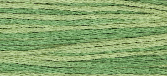 Ivy #2198 by Weeks Dye Works- 5 yds Hand-Dyed, 6 Strand 100% Cotton Cross Stitch Embroidery Floss