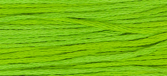 Absinthe #2204 by Weeks Dye Works- 5 yds Hand-Dyed, 6 Strand 100% Cotton Cross Stitch Embroidery Floss