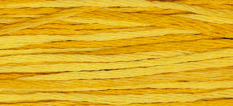 Squash #2224 by Weeks Dye Works- 5 yds Hand-Dyed, 6 Strand 100% Cotton Cross Stitch Embroidery Floss