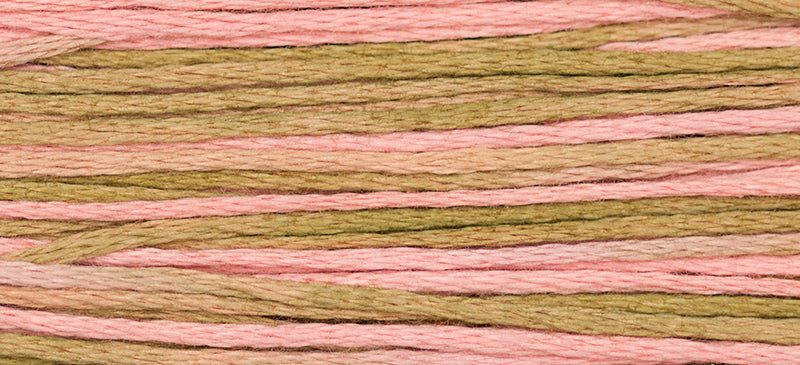 Mexicali #2251 by Weeks Dye Works- 5 yds Hand-Dyed, 6 Strand 100% Cotton Cross Stitch Embroidery Floss