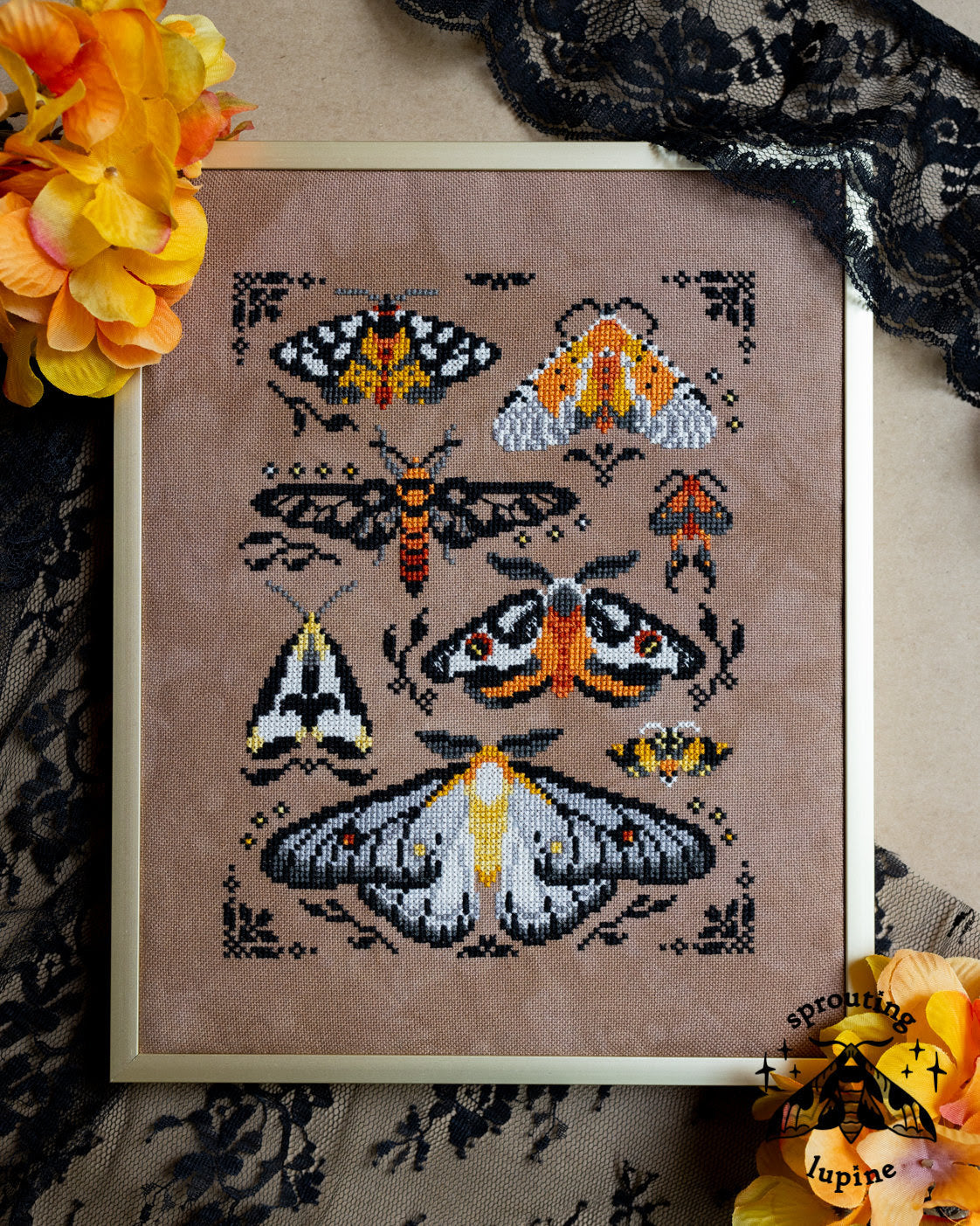 Pre-Order - Ochre Wings by Sprouting Lupine