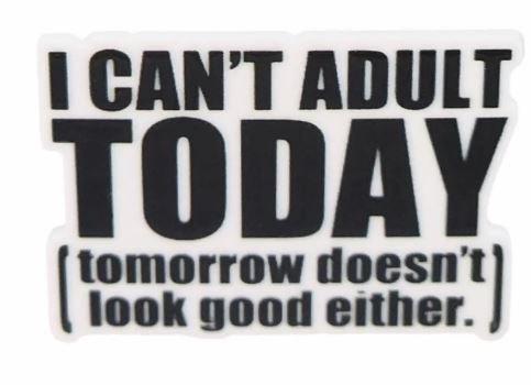 I Can't Adult Today Needle Minder by Mind your Needle