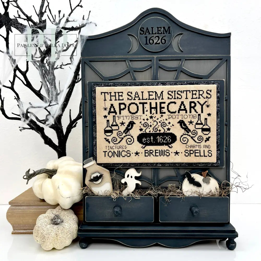 Apothecary Cabinet - Unfinished Wood Display by Paisleys and Polka Dots