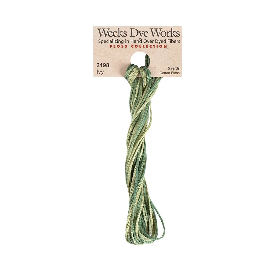 Ivy #2198 by Weeks Dye Works- 5 yds Hand-Dyed, 6 Strand 100% Cotton Cross Stitch Embroidery Floss