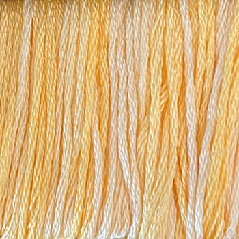Cottage Daisies - Classic Colorworks 5 yards Hand-Dyed 6-strand 100% cotton cross stitch embroidery floss