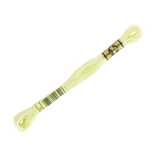 DMC 10 - 6 Strand Embroidery Floss