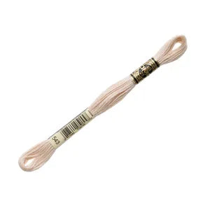DMC 543- 6 Strand Embroidery Floss