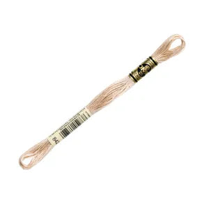 DMC 842- 6 Strand Embroidery Floss