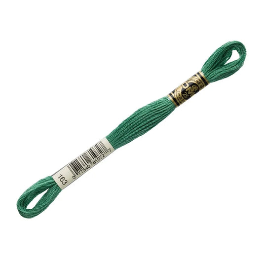 DMC 163 - 6 Strand Embroidery Floss