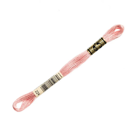 DMC 224 - 6 Strand Embroidery Floss