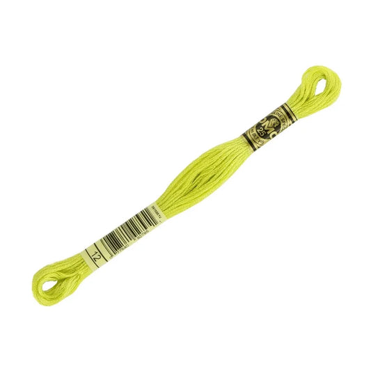DMC 12 - 6 Strand Embroidery Floss