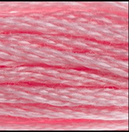 DMC 151 - 6 Strand Embroidery Floss