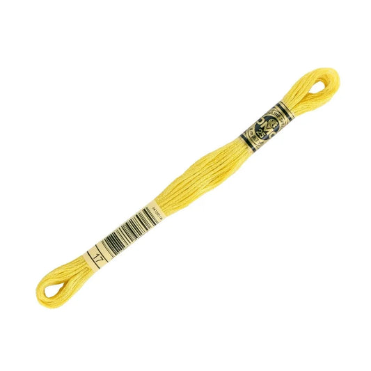 DMC 17 - 6 Strand Embroidery Floss