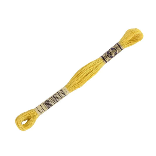 DMC 18 - 6 Strand Embroidery Floss