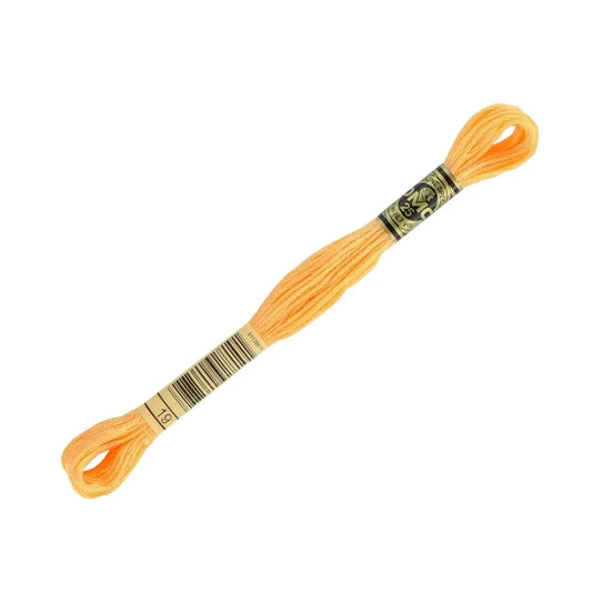 DMC 19 - 6 Strand Embroidery Floss