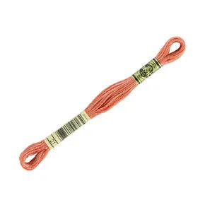 DMC 21 - 6 Strand Embroidery Floss