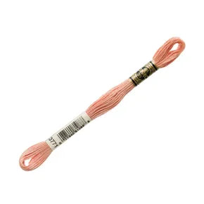 DMC 3771 - 6 Strand Embroidery Floss
