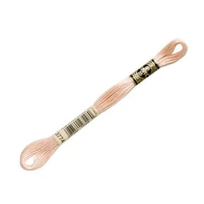 DMC 3774 - 6 Strand Embroidery Floss