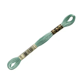 DMC 3817- 6 Strand Embroidery Floss