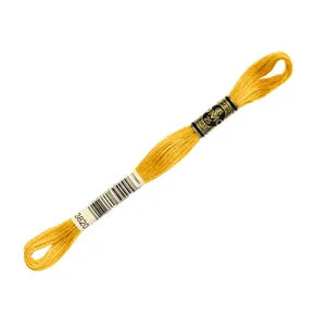 DMC 3820- 6 Strand Embroidery Floss