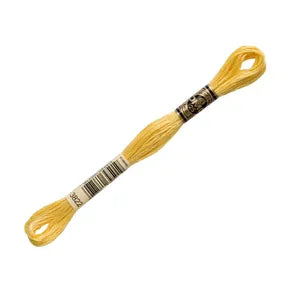 DMC 3822- 6 Strand Embroidery Floss