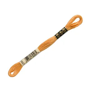 DMC 3827 - 6 Strand Embroidery Floss
