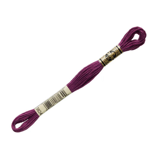 DMC 3834 - 6 Strand Embroidery Floss
