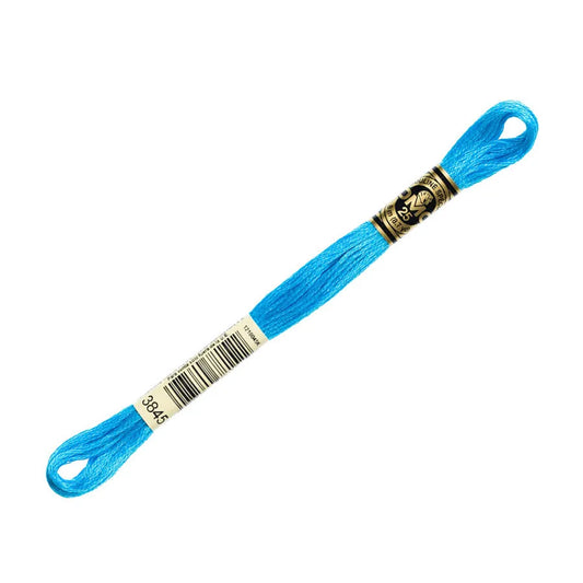 DMC 3845 - 6 Strand Embroidery Floss