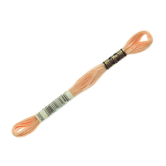 DMC 3856 - 6 Strand Embroidery Floss