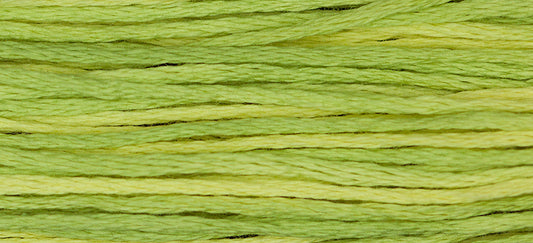 Daffodil #1119 by Weeks Dye Works- 5 yds Hand-Dyed, 6 Strand 100% Cotton Cross Stitch Embroidery Floss