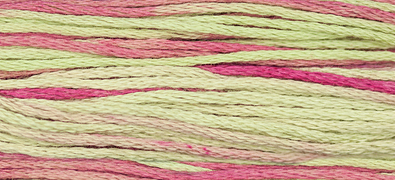 Coleus #1126 by Weeks Dye Works- 5 yds Hand-Dyed, 6 Strand 100% Cotton Cross Stitch Embroidery Floss