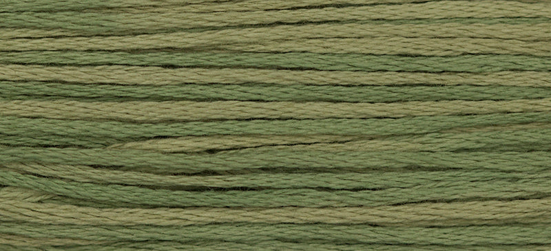 Artichoke #1183 by Weeks Dye Works- 5 yds Hand-Dyed, 6 Strand 100% Cotton Cross Stitch Embroidery Floss