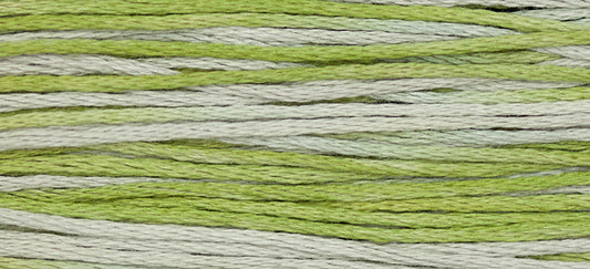 Wisteria #1186 by Weeks Dye Works- 5 yds Hand-Dyed, 6 Strand 100% Cotton Cross Stitch Embroidery Floss