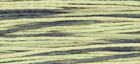 Hosta #1251 by Weeks Dye Works- 5 yds Hand-Dyed, 6 Strand 100% Cotton Cross Stitch Embroidery Floss