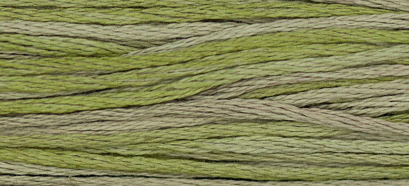 Thyme #1256 by Weeks Dye Works- 5 yds Hand-Dyed, 6 Strand 100% Cotton Cross Stitch Embroidery Floss