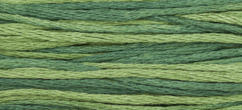 Collards #1277 by Weeks Dye Works- 5 yds Hand-Dyed, 6 Strand 100% Cotton Cross Stitch Embroidery Floss
