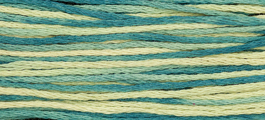 Eucalyptus #2146 by Weeks Dye Works- 5 yds Hand-Dyed, 6 Strand 100% Cotton Cross Stitch Embroidery Floss