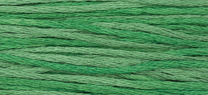 Hunter #2156 by Weeks Dye Works- 5 yds Hand-Dyed, 6 Strand 100% Cotton Cross Stitch Embroidery Floss