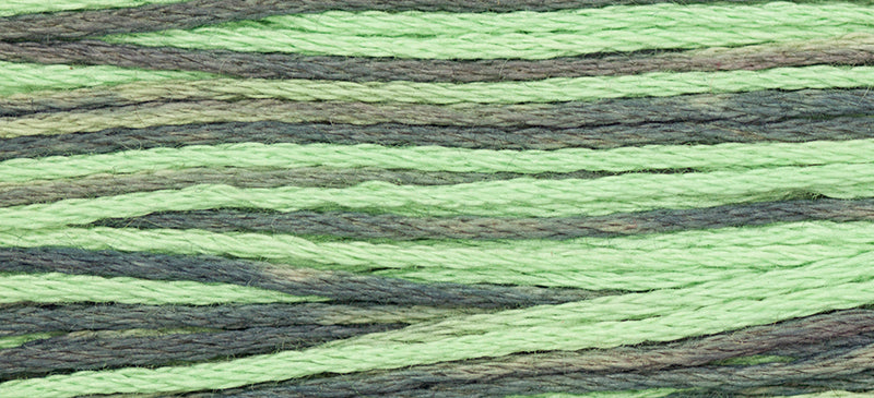 Julep #2161 by Weeks Dye Works- 5 yds Hand-Dyed, 6 Strand 100% Cotton Cross Stitch Embroidery Floss
