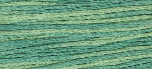 Bayberry #2166 by Weeks Dye Works- 5 yds Hand-Dyed, 6 Strand 100% Cotton Cross Stitch Embroidery Floss