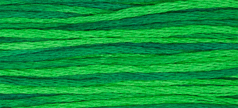 Envy #2173 by Weeks Dye Works- 5 yds Hand-Dyed, 6 Strand 100% Cotton Cross Stitch Embroidery Floss