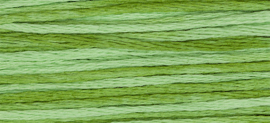 Meadow #2176 by Weeks Dye Works- 5 yds Hand-Dyed, 6 Strand 100% Cotton Cross Stitch Embroidery Floss