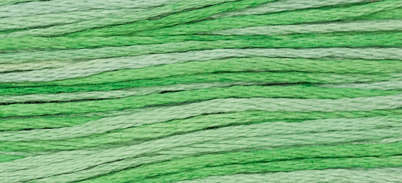 Cactus #2181 by Weeks Dye Works- 5 yds Hand-Dyed, 6 Strand 100% Cotton Cross Stitch Embroidery Floss