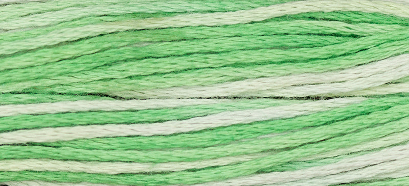 Iceberg #2186 by Weeks Dye Works- 5 yds Hand-Dyed, 6 Strand 100% Cotton Cross Stitch Embroidery Floss