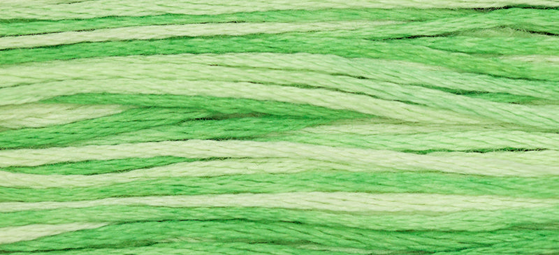 Granny Smith #2191 by Weeks Dye Works- 5 yds Hand-Dyed, 6 Strand 100% Cotton Cross Stitch Embroidery Floss